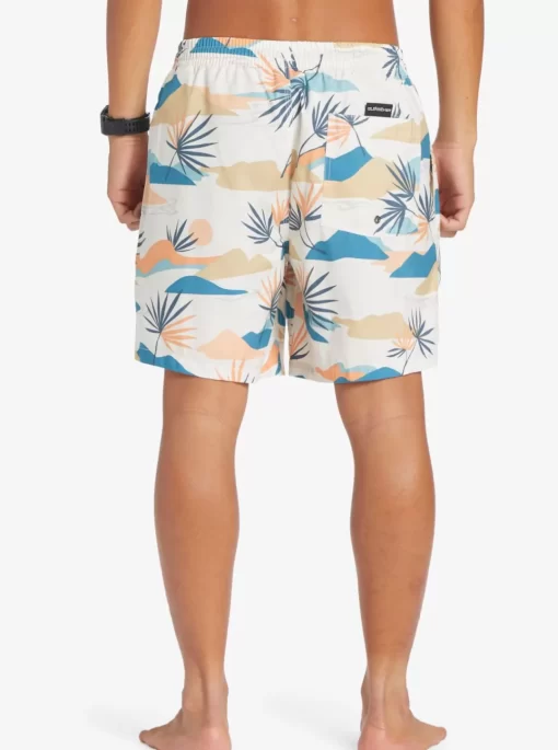 Mens Quiksilver Boardshorts | Everyday Mix 17" Volleys