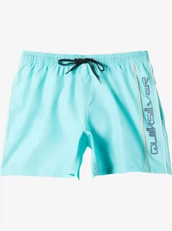 Mens Quiksilver Elastic Waist | Everyday Vert 16" Volleys