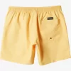 Mens Quiksilver Elastic Waist | Everyday Vert 16