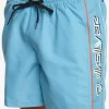 Mens Quiksilver Elastic Waist | Everyday Vert 16