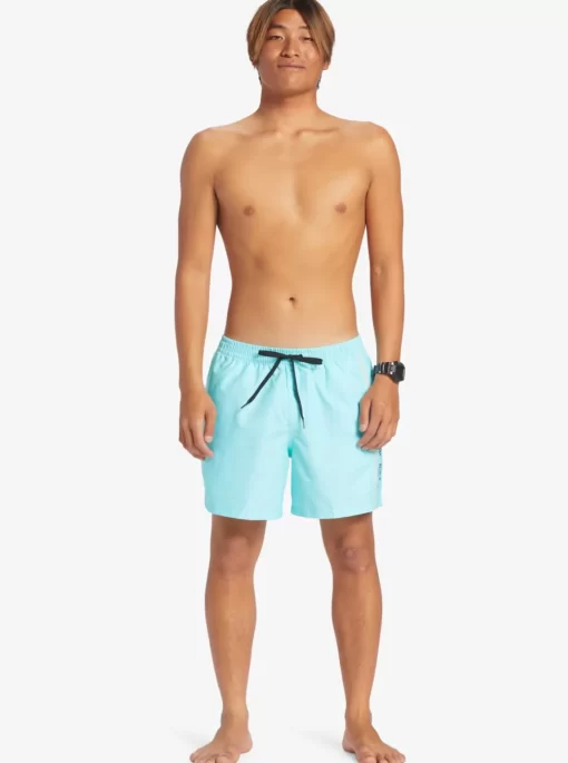 Mens Quiksilver Elastic Waist | Everyday Vert 16" Volleys