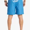 Mens Quiksilver Elastic Waist | Flight Volley 18