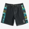 Mens Quiksilver Boardshorts | Gregg Kaplan Blank Canvas Arch 18