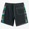 Mens Quiksilver Boardshorts | Gregg Kaplan Blank Canvas Arch 18