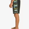 Mens Quiksilver Boardshorts | Gregg Kaplan Blank Canvas Arch 18