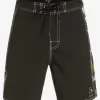 Mens Quiksilver Boardshorts | Gregg Kaplan Blank Canvas Arch 18