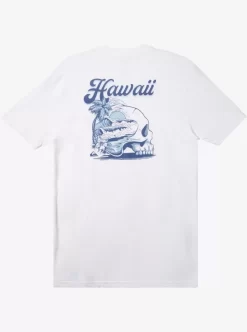 Mens Quiksilver Tees | Hi Water On The Brain T-Shirt