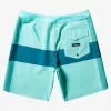 Mens Quiksilver Boardshorts | Highline Arch 19