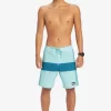 Mens Quiksilver Boardshorts | Highline Arch 19