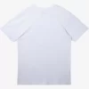 Mens Quiksilver Tees | Level Up T-Shirt