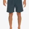 Mens Quiksilver Boardshorts | Made Better 17