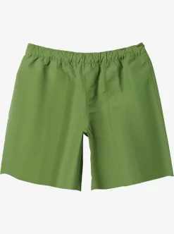 Mens Quiksilver Boardshorts | Made Better 18.5" Amphibian Boardshorts