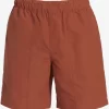 Mens Quiksilver Boardshorts | Made Better 18.5