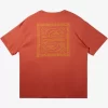 Mens Quiksilver Tees | Natural Vibe T-Shirt