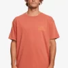 Mens Quiksilver Tees | Natural Vibe T-Shirt