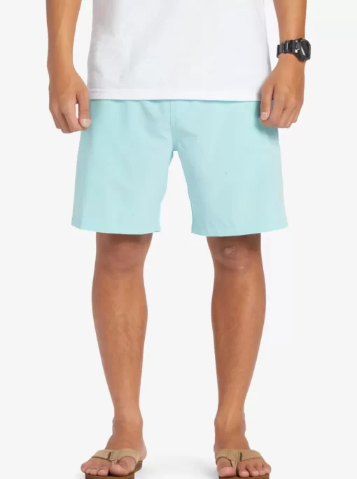 Mens Quiksilver Boardshorts | Ocean Elastic Waist 18" Amphibian Shorts