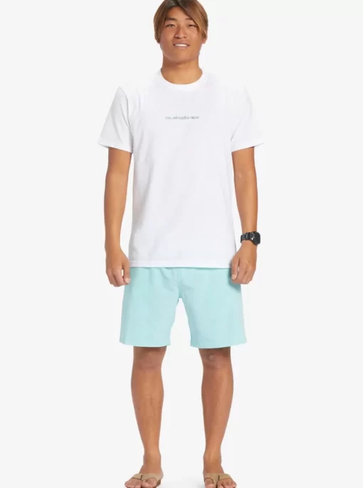 Mens Quiksilver Boardshorts | Ocean Elastic Waist 18" Amphibian Shorts