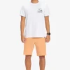 Mens Quiksilver Boardshorts | Ocean Union Amphibian 20