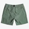 Mens Quiksilver Boardshorts | Omni 17