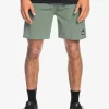 Mens Quiksilver Boardshorts | Omni 17