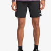 Mens Quiksilver Boardshorts | Omni 17