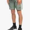 Mens Quiksilver Boardshorts | Omni 17