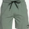 Mens Quiksilver Boardshorts | Omni 17