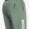 Mens Quiksilver Boardshorts | Omni 17