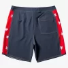 Mens Quiksilver Boardshorts | Original Arch 18