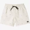 Mens Quiksilver Boardshorts | Re-Mix 17