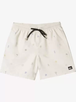 Mens Quiksilver Boardshorts | Re-Mix 17" Volleys