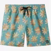 Mens Quiksilver Boardshorts | Re-Mix 17