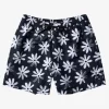 Mens Quiksilver Boardshorts | Re-Mix 17