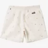 Mens Quiksilver Boardshorts | Re-Mix 17