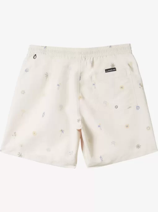 Mens Quiksilver Boardshorts | Re-Mix 17" Volleys