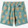 Mens Quiksilver Boardshorts | Re-Mix 17