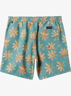 Mens Quiksilver Boardshorts | Re-Mix 17" Volleys