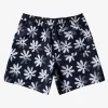 Mens Quiksilver Boardshorts | Re-Mix 17