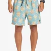 Mens Quiksilver Boardshorts | Re-Mix 17