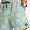 Mens Quiksilver Boardshorts | Re-Mix 17