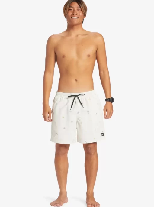 Mens Quiksilver Boardshorts | Re-Mix 17" Volleys