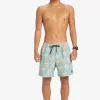 Mens Quiksilver Boardshorts | Re-Mix 17