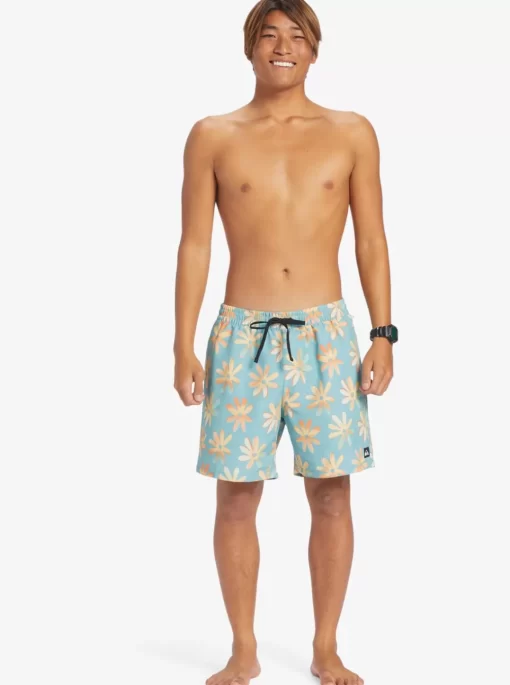 Mens Quiksilver Boardshorts | Re-Mix 17" Volleys