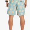 Mens Quiksilver Boardshorts | Re-Mix 17