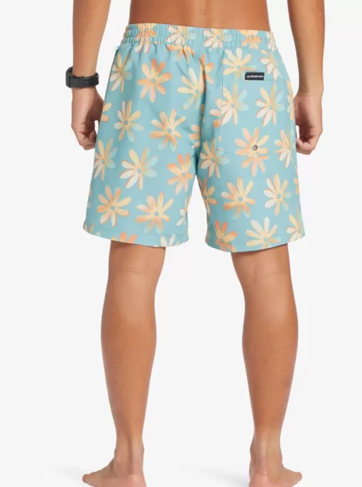 Mens Quiksilver Boardshorts | Re-Mix 17" Volleys