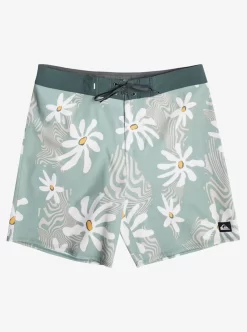 Mens Quiksilver Boardshorts | Surfsilk 69 18" Boardshorts