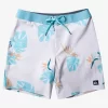 Mens Quiksilver Boardshorts | Surfsilk 69 18