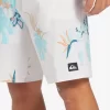 Mens Quiksilver Boardshorts | Surfsilk 69 18