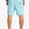 Mens Quiksilver Boardshorts | Surfsilk 69 18