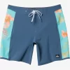 Mens Quiksilver Boardshorts | Surfsilk Arch 18